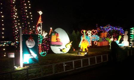 Trail of Lights